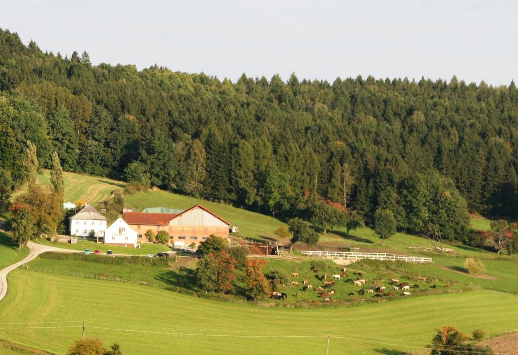 Pferdehof Koaser Minerl Ampflwang im Hausruckwald Kültér fotó